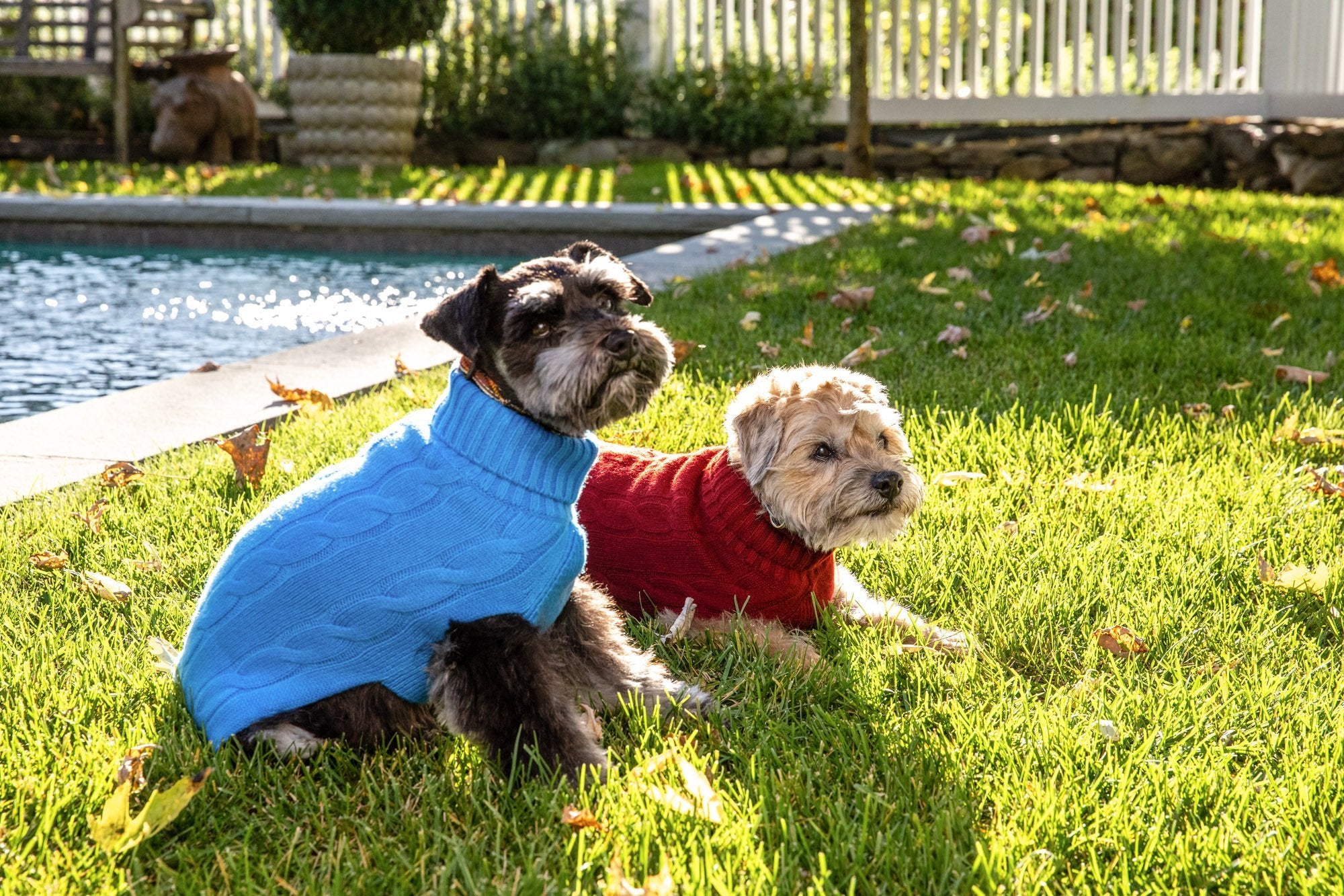 Cableknit Cashmere Dog Sweater, Navy