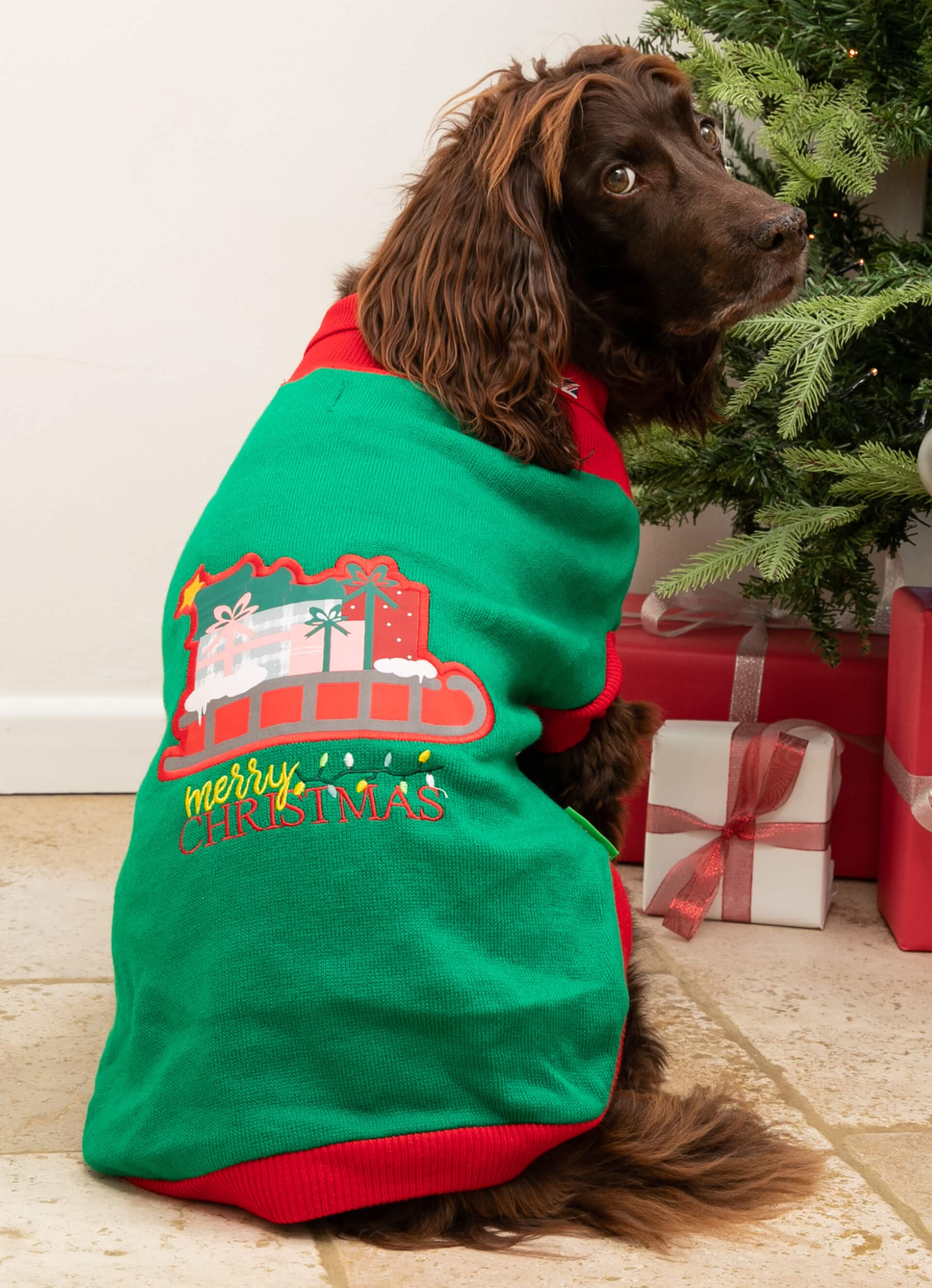 Christmas Dog Sweater - Santa's Sleigh